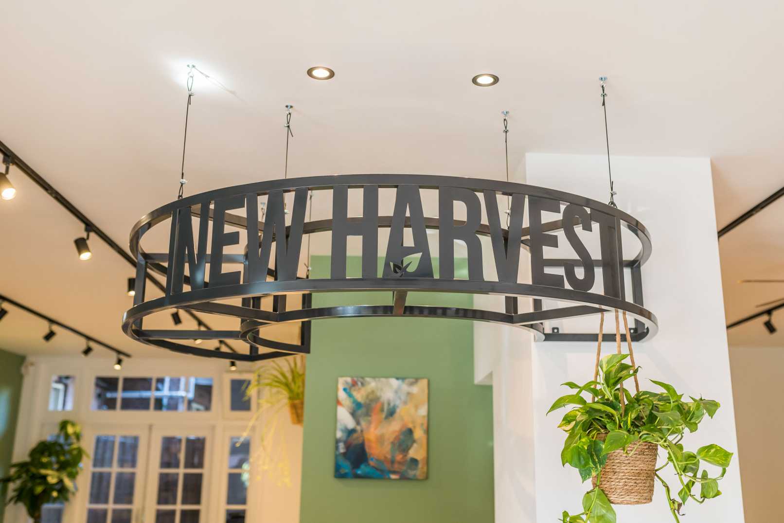 New Harvest - Amsterdam - by Standard Studio