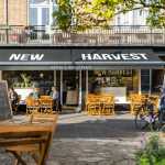 New Harvest - Amsterdam - by Standard Studio