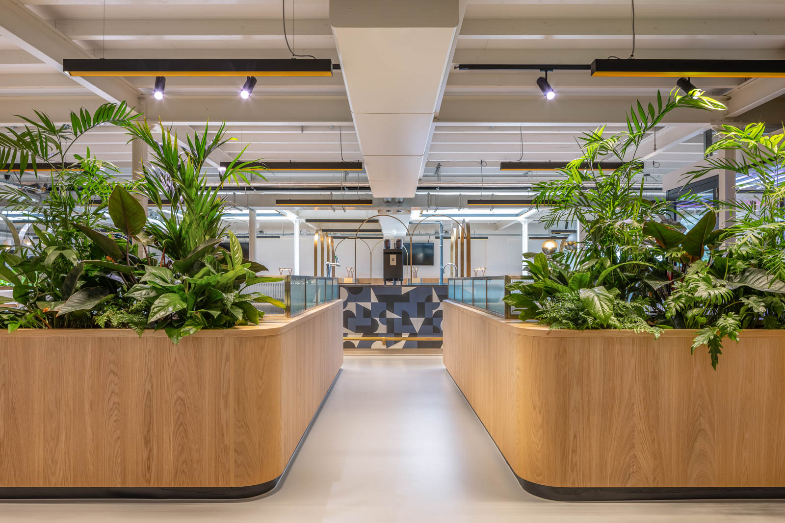 Mollie Payments Amsterdam by Standard Studio